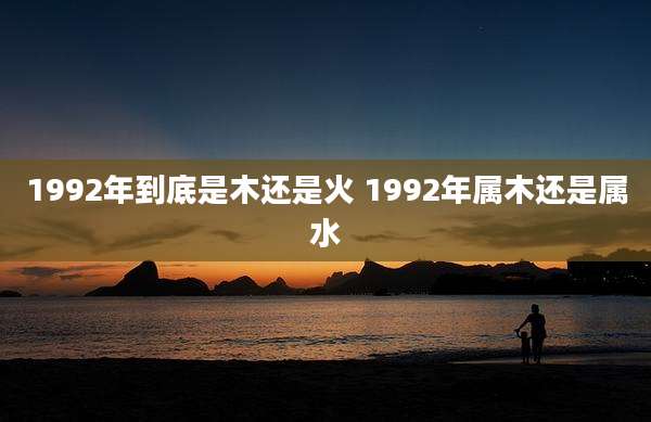 1992年到底是木还是火 1992年属木还是属水