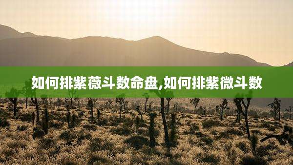 如何排紫薇斗数命盘,如何排紫微斗数