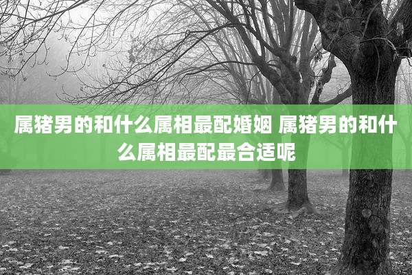 属猪男的和什么属相最配婚姻 属猪男的和什么属相最配最合适呢