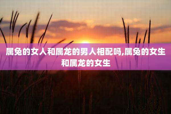 属兔的女人和属龙的男人相配吗,属兔的女生和属龙的女生