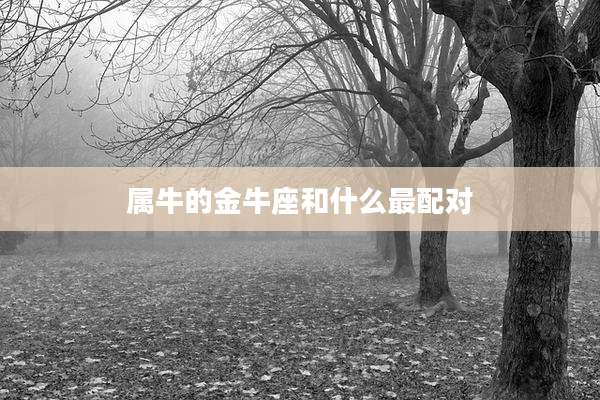 属牛的金牛座和什么最配对