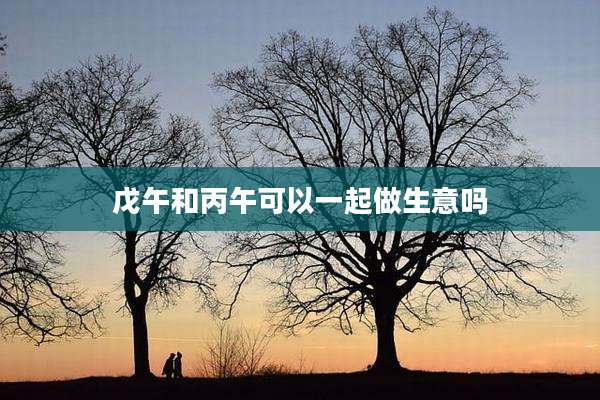 戊午和丙午可以一起做生意吗