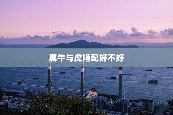 属牛与虎婚配好不好