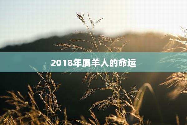 2018年属羊人的命运