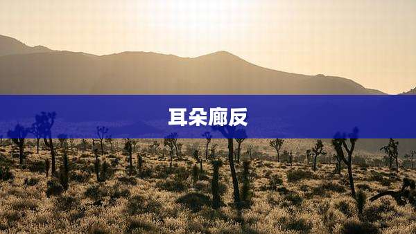 耳朵廊反