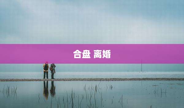 合盘 离婚