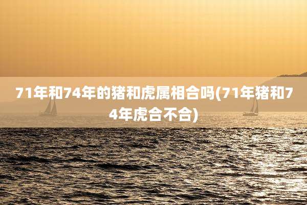 71年和74年的猪和虎属相合吗(71年猪和74年虎合不合)