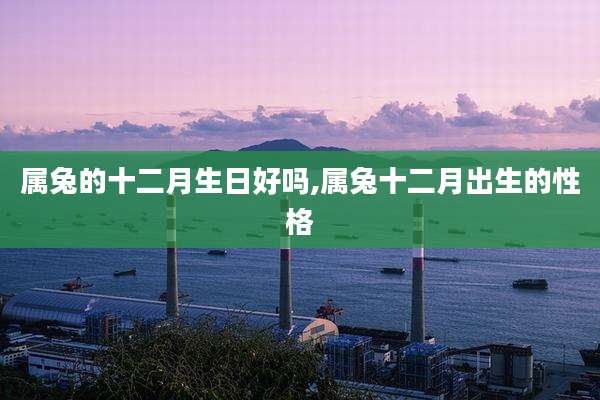 属兔的十二月生日好吗,属兔十二月出生的性格