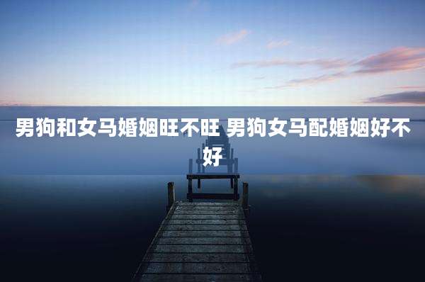 男狗和女马婚姻旺不旺 男狗女马配婚姻好不好