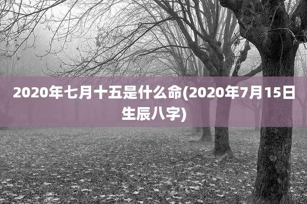 2020年七月十五是什么命(2020年7月15日生辰八字)