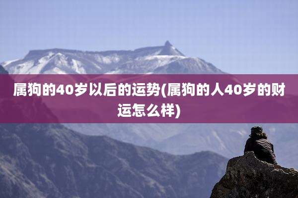 属狗的40岁以后的运势(属狗的人40岁的财运怎么样)