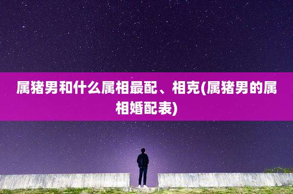 属猪男和什么属相最配、相克(属猪男的属相婚配表)