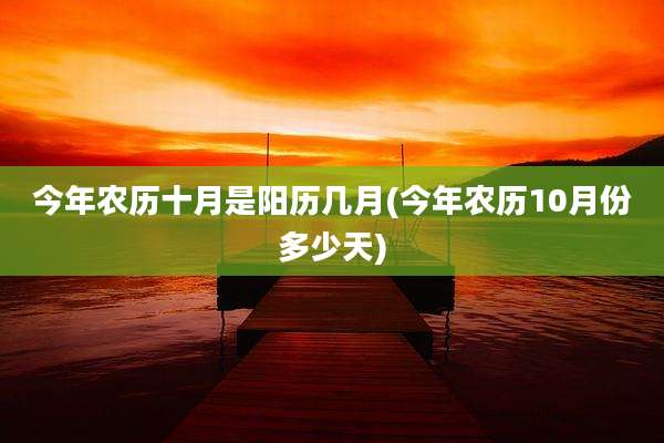 今年农历十月是阳历几月(今年农历10月份多少天)