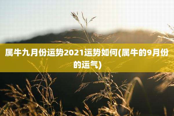 属牛九月份运势2021运势如何(属牛的9月份的运气)
