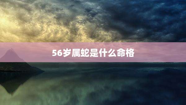 56岁属蛇是什么命格