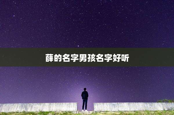 薛的名字男孩名字好听
