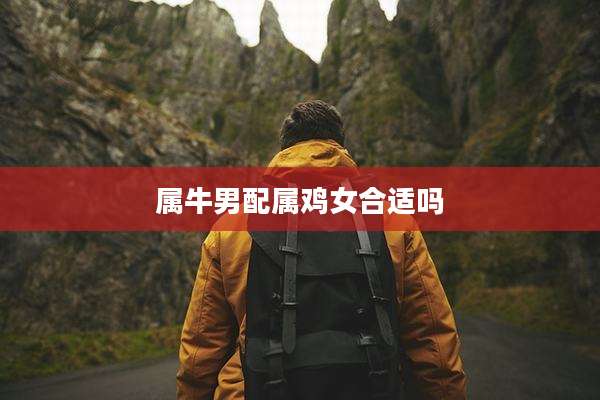 属牛男配属鸡女合适吗