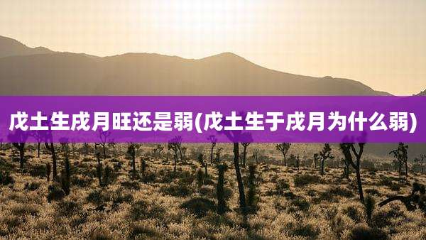戊土生戌月旺还是弱(戊土生于戌月为什么弱)