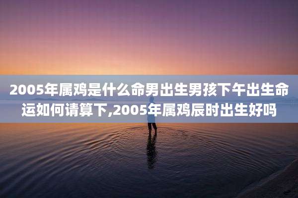 2005年属鸡是什么命男出生男孩下午出生命运如何请算下,2005年属鸡辰时出生好吗