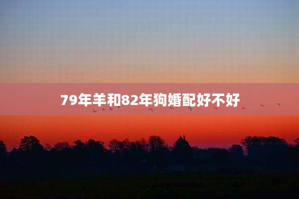 79年羊和82年狗婚配好不好
