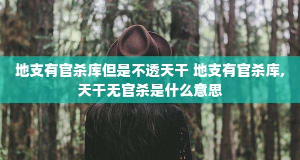 地支有官杀库但是不透天干 地支有官杀库,天干无官杀是什么意思