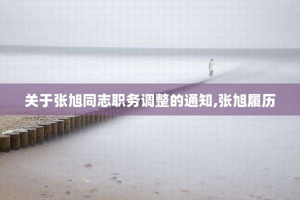 关于张旭同志职务调整的通知,张旭履历