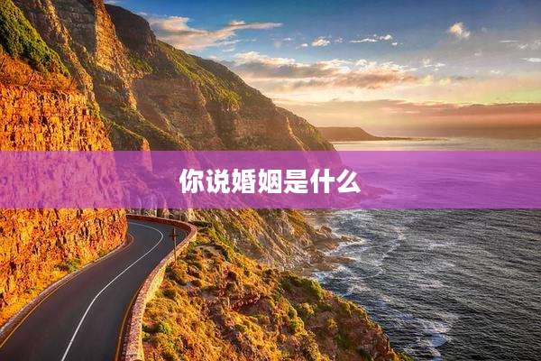 你说婚姻是什么