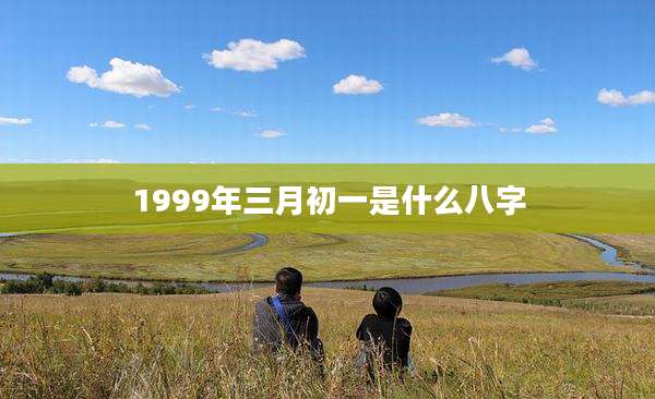 1999年三月初一是什么八字