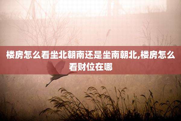 楼房怎么看坐北朝南还是坐南朝北,楼房怎么看财位在哪