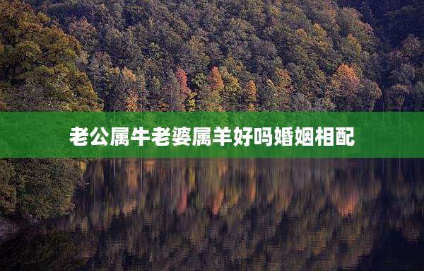 老公属牛老婆属羊好吗婚姻相配