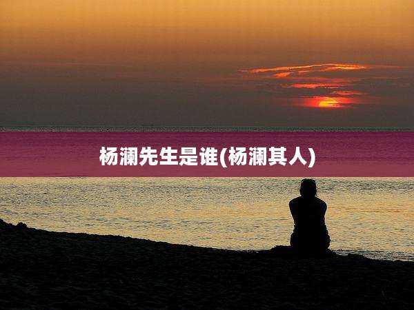 杨澜先生是谁(杨澜其人)