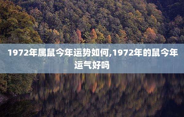 1972年属鼠今年运势如何,1972年的鼠今年运气好吗