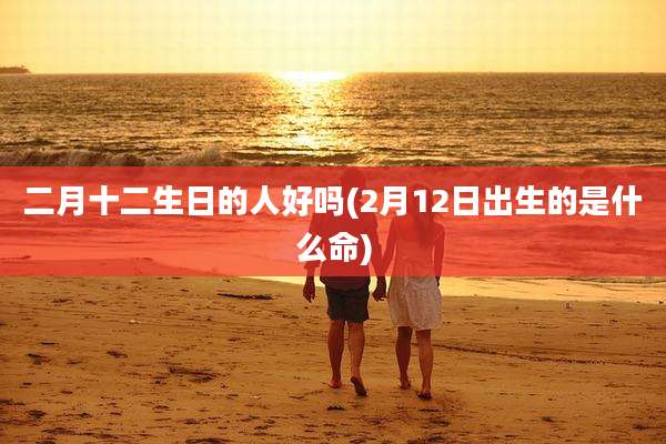 二月十二生日的人好吗(2月12日出生的是什么命)