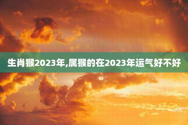 生肖猴2023年,属猴的在2023年运气好不好