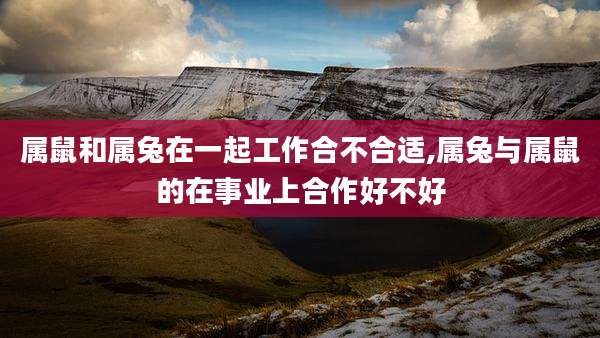 属鼠和属兔在一起工作合不合适,属兔与属鼠的在事业上合作好不好