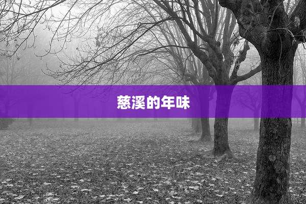 慈溪的年味