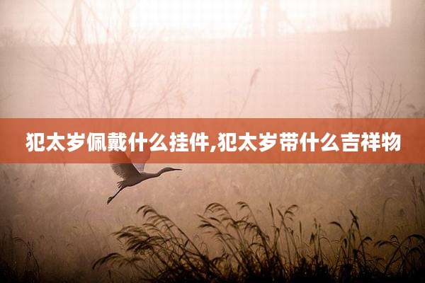 犯太岁佩戴什么挂件,犯太岁带什么吉祥物