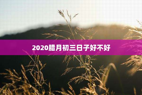 2020腊月初三日子好不好