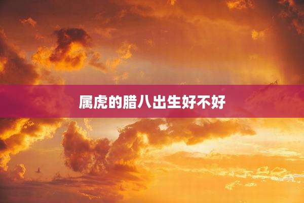 属虎的腊八出生好不好