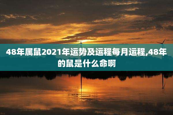 48年属鼠2021年运势及运程每月运程,48年的鼠是什么命啊