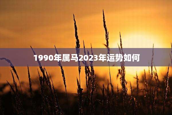 1990年属马2023年运势如何