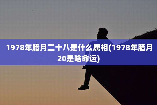 1978年腊月二十八是什么属相(1978年腊月20是啥命运)