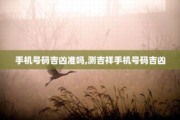 手机号码吉凶准吗,测吉祥手机号码吉凶