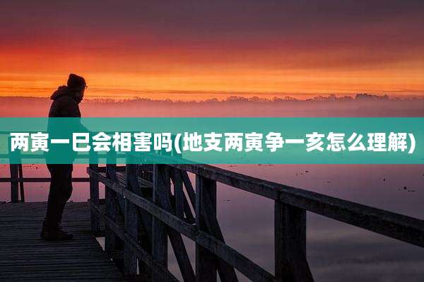 两寅一巳会相害吗(地支两寅争一亥怎么理解)