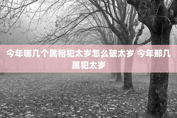 今年哪几个属相犯太岁怎么破太岁 今年那几属犯太岁