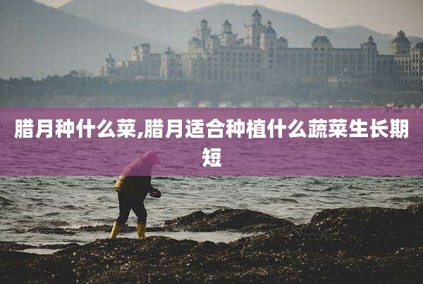 腊月种什么菜,腊月适合种植什么蔬菜生长期短