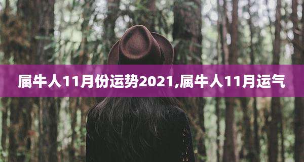 属牛人11月份运势2021,属牛人11月运气