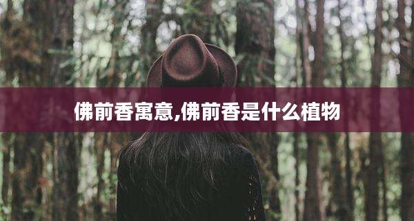 佛前香寓意,佛前香是什么植物
