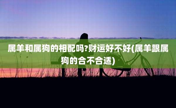 属羊和属狗的相配吗?财运好不好(属羊跟属狗的合不合适)