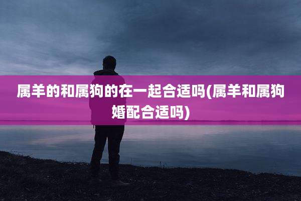 属羊的和属狗的在一起合适吗(属羊和属狗婚配合适吗)